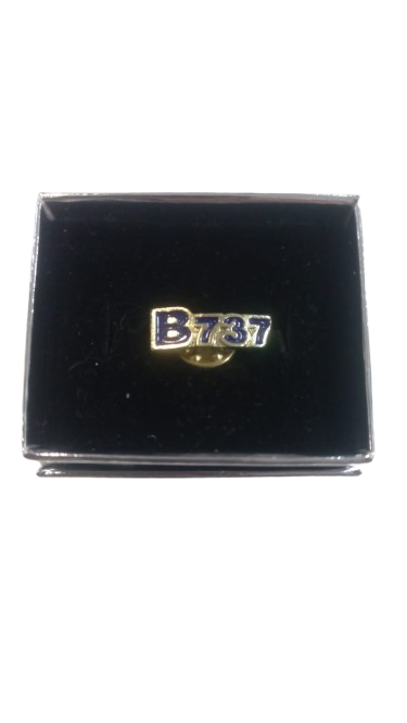 Boeing B-737 Rozet Gold