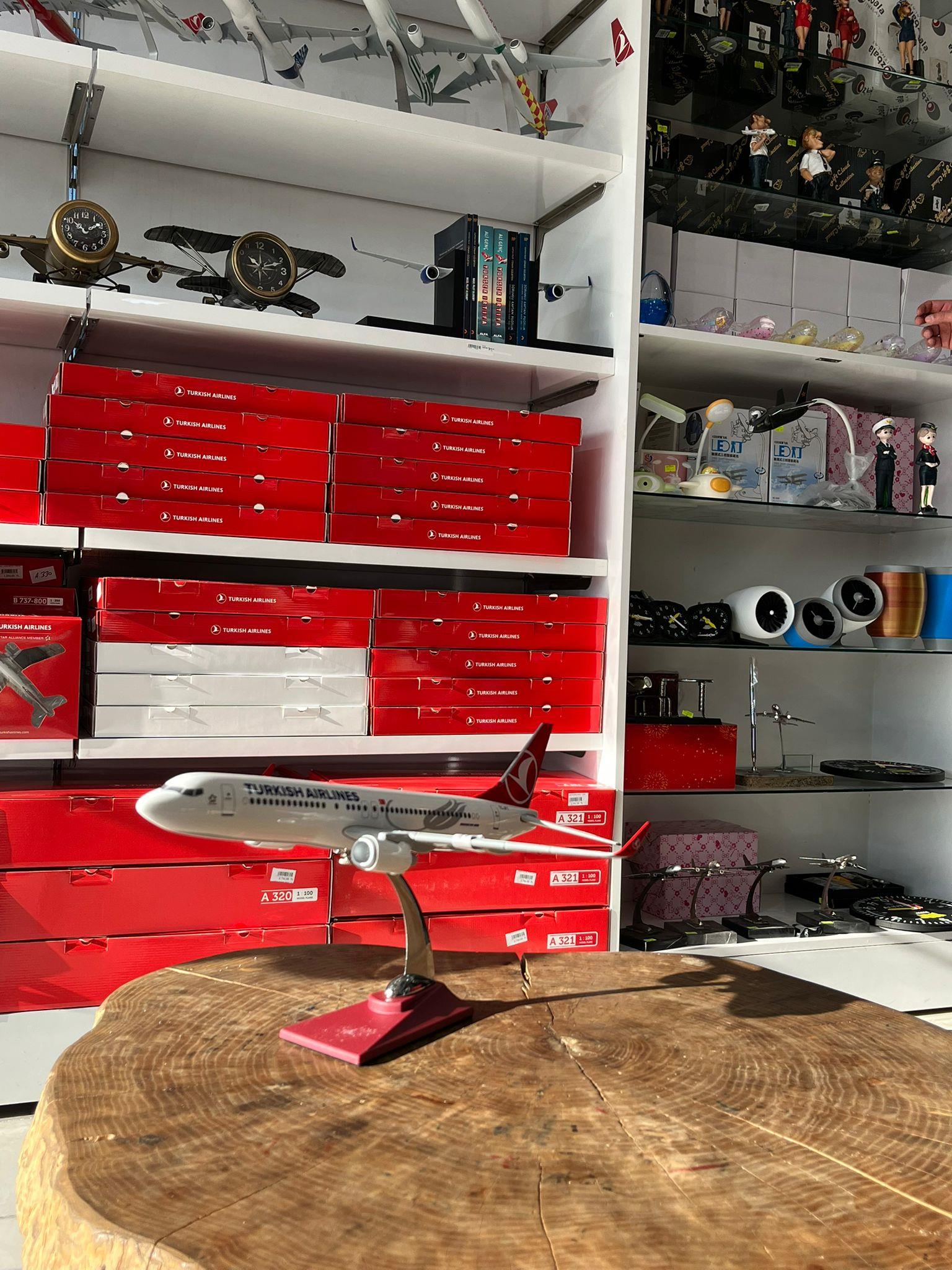 Thy Boeing 737 Uçak Maketi 