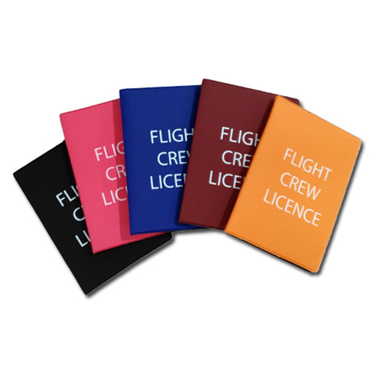 Flight Crew Licence Kartlık