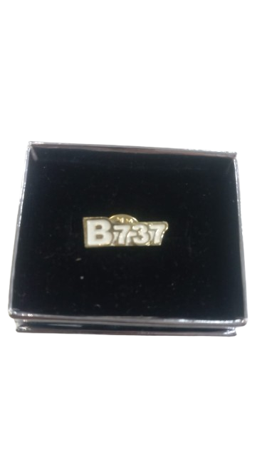 Boeing B-737 Rozet Gold