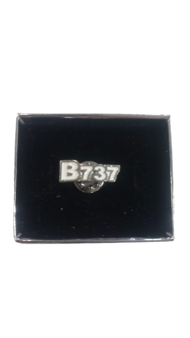 Boeing B-737 Rozet Silver