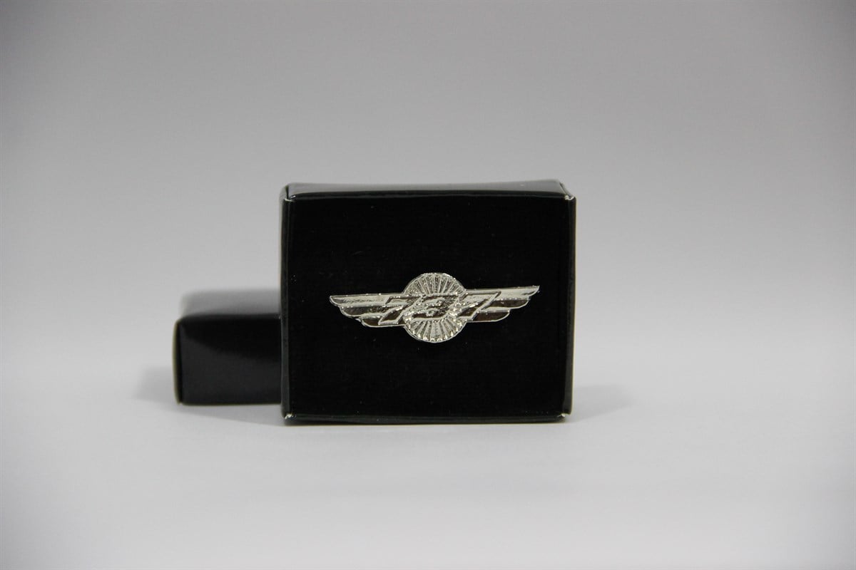 Boeing kanat 737 Rozet