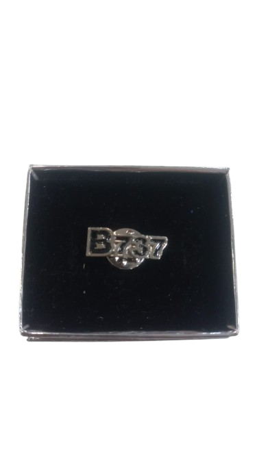 Boeing B-737 Rozet Silver