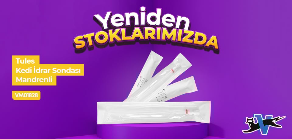 Tules Kedi İdrar Sondası