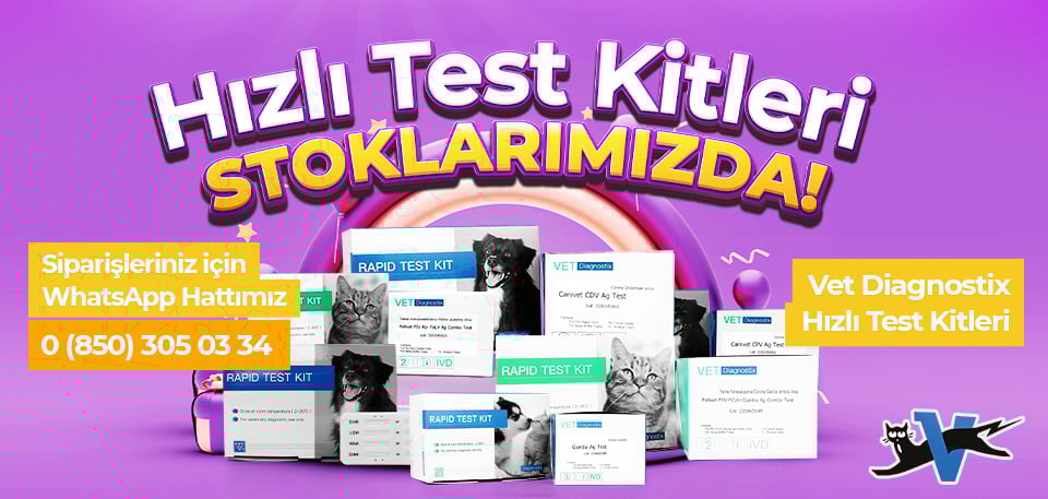 Hızlı Test Kiti