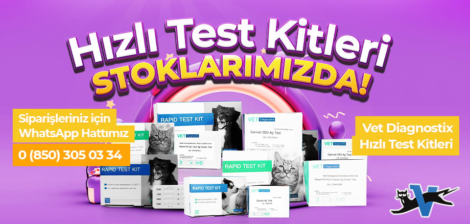 Hızlı Test Kiti
