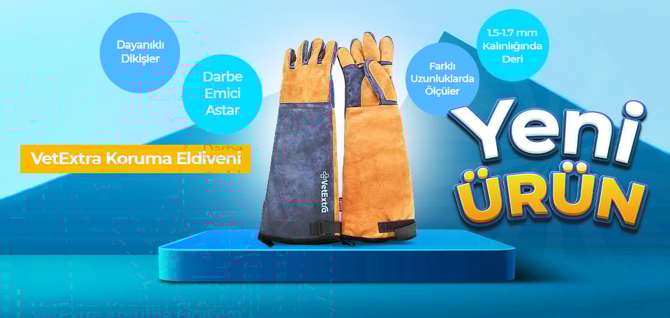 Yakalama Eldiveni