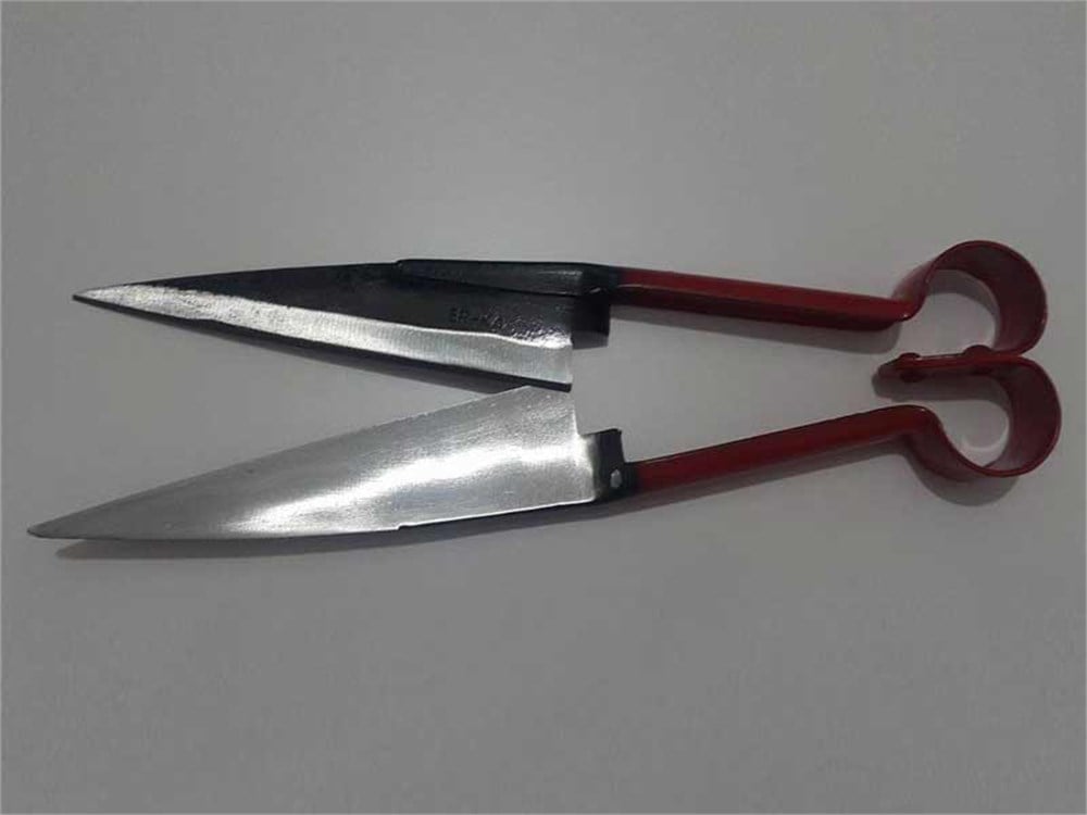 Koyun Kırkım Makası 30 cm KERBL