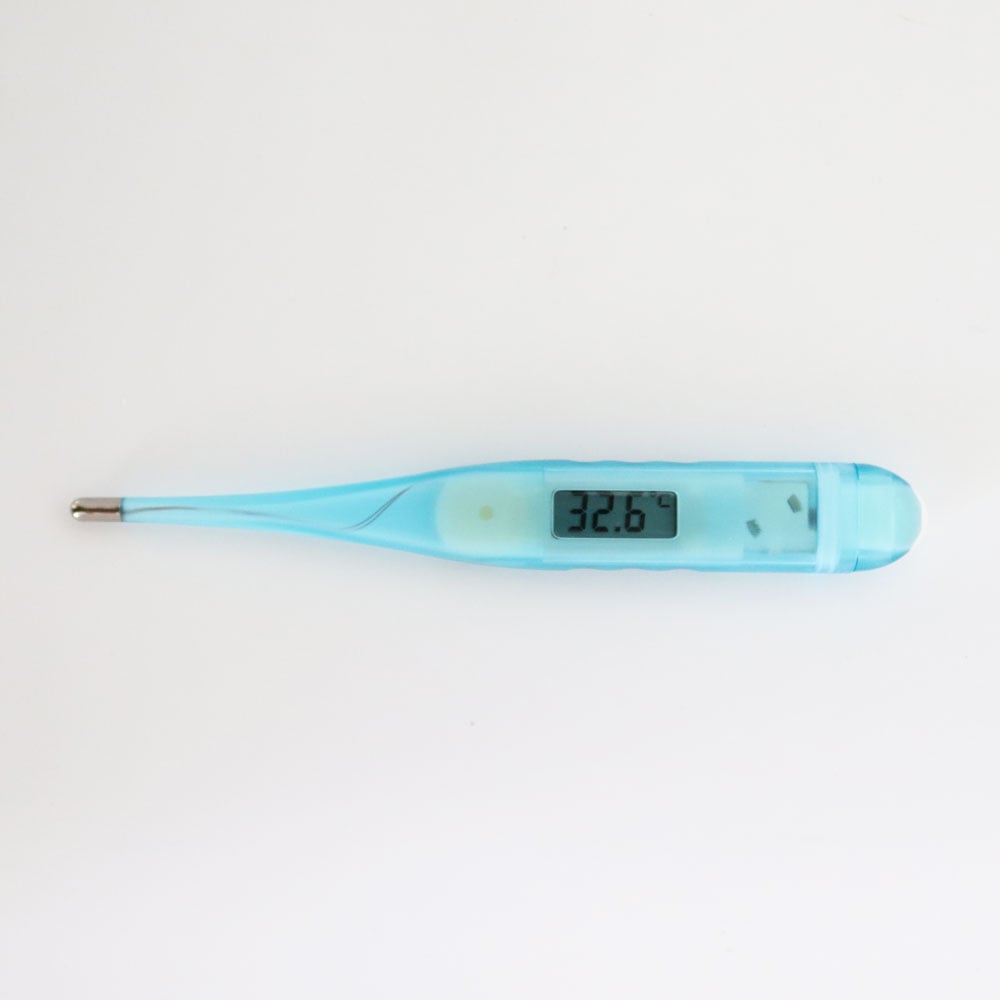 Kruuse Dijital Ateş Ölçer (Derece) 