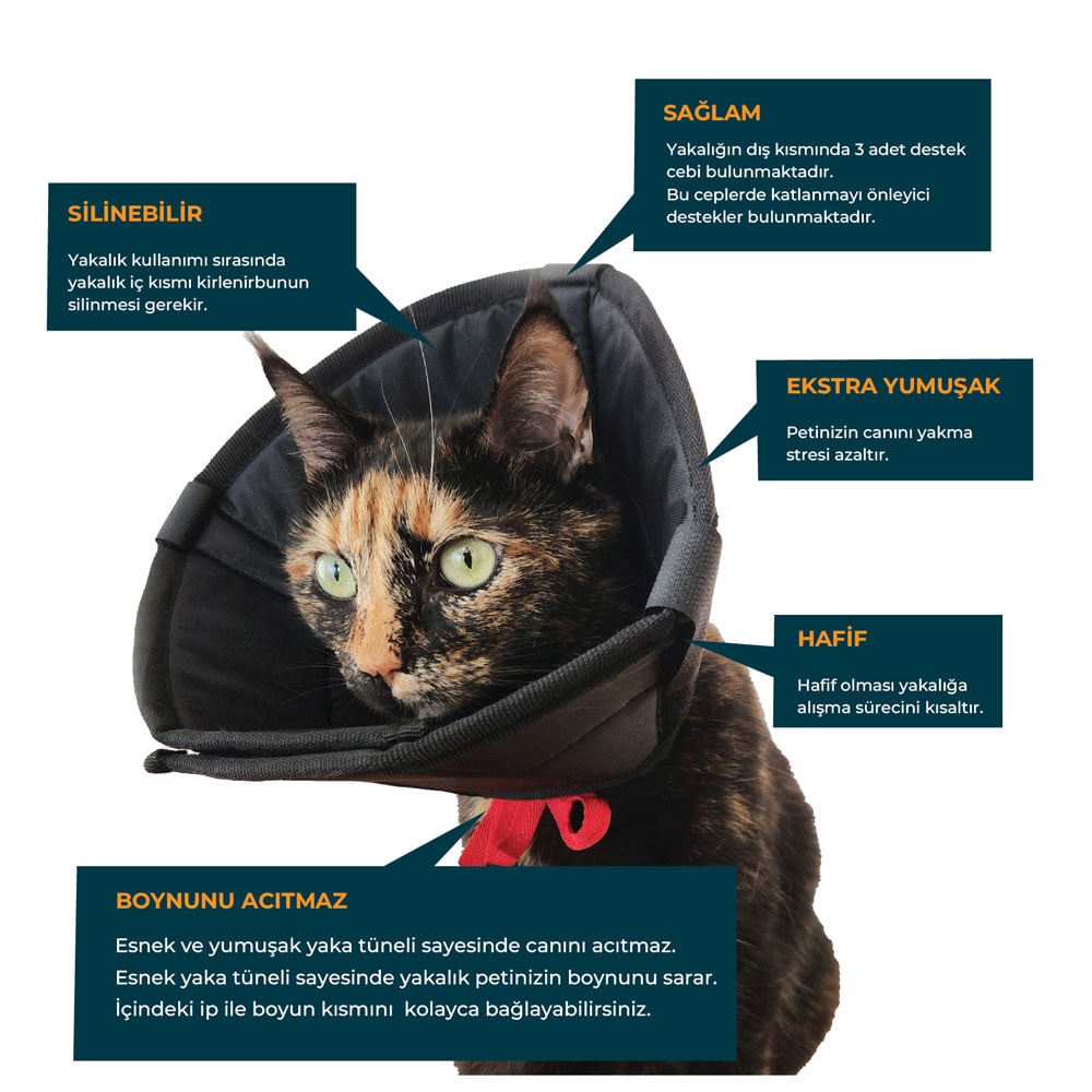 Petsuit Elizabeth Yakalık Yumuşak Kumaş 100 MM