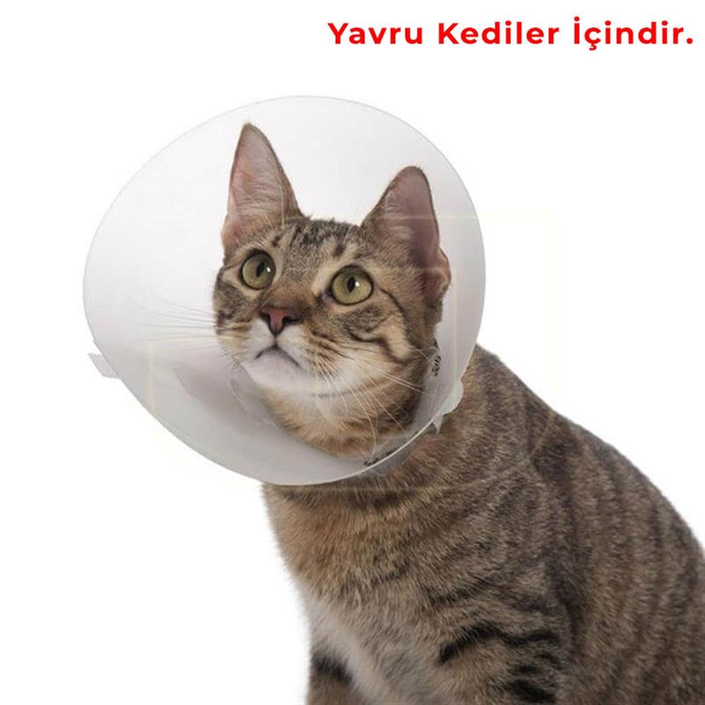 Tales Click Collar Yakalık Şeffaf 50 MM