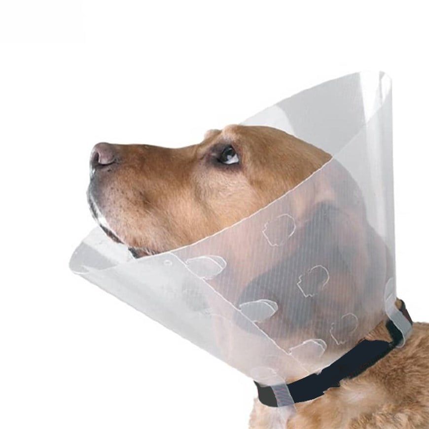 Tales Click Collar Yakalık Şeffaf 75 MM