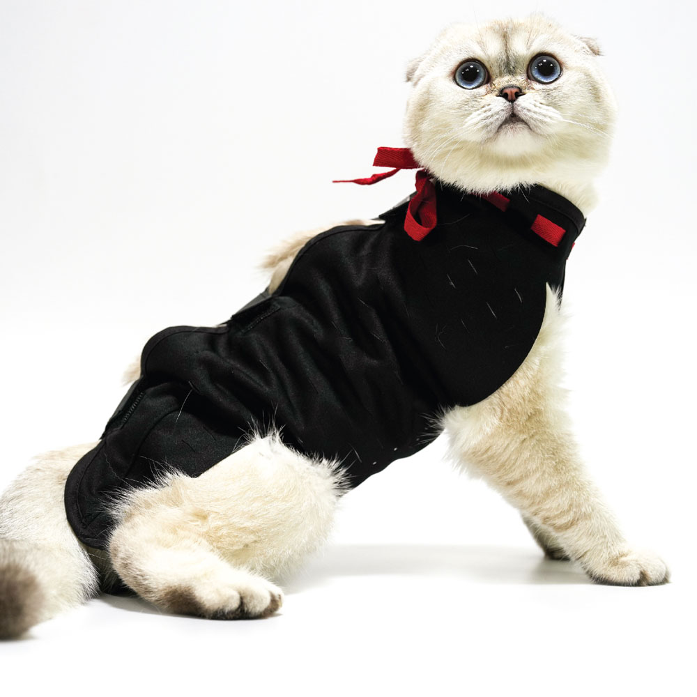 Petsuit Yara Koruyucu Korse XXSmall