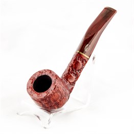 ALLIGATOR 123