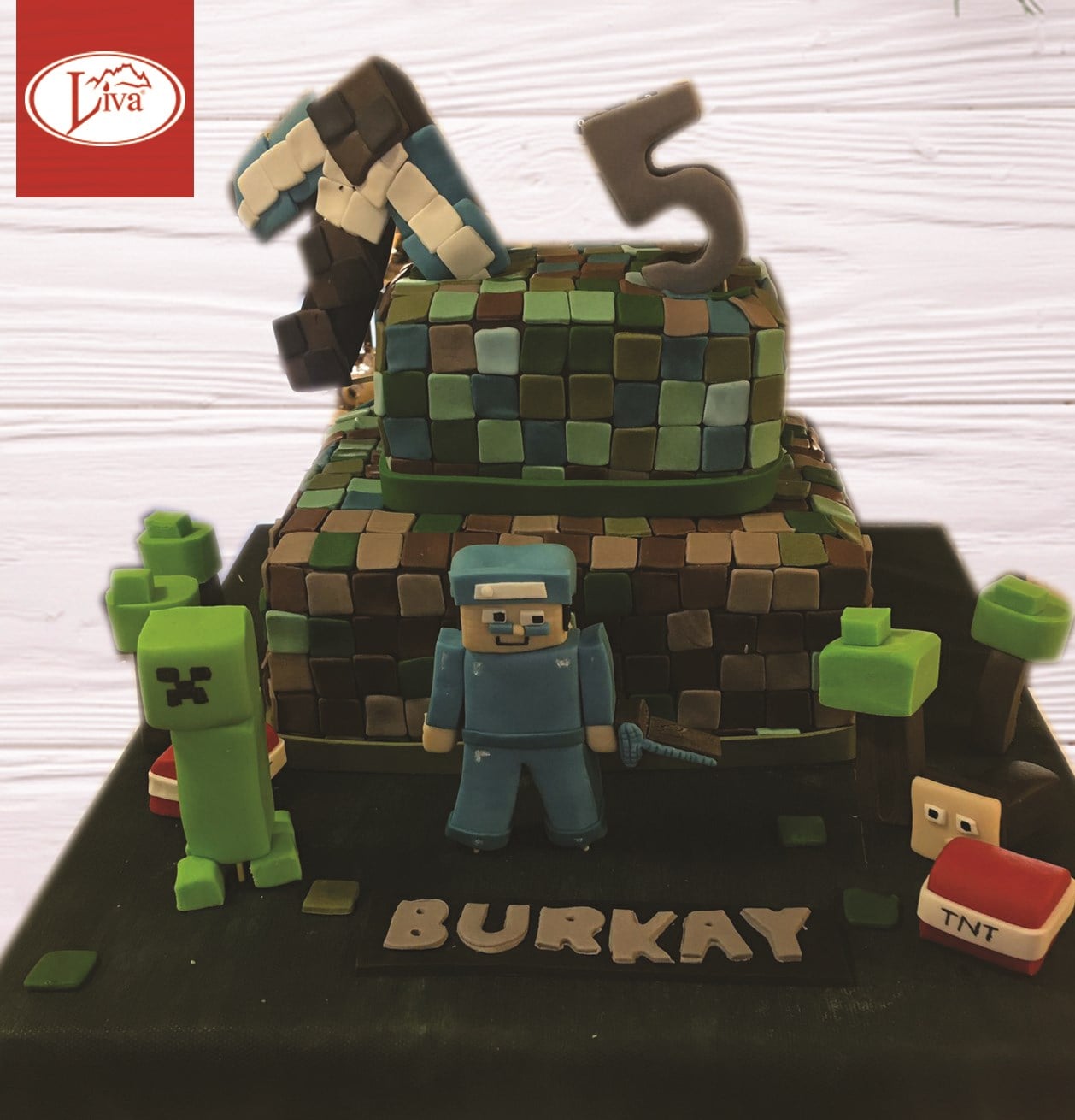 Liva Minecraft Özel Pasta