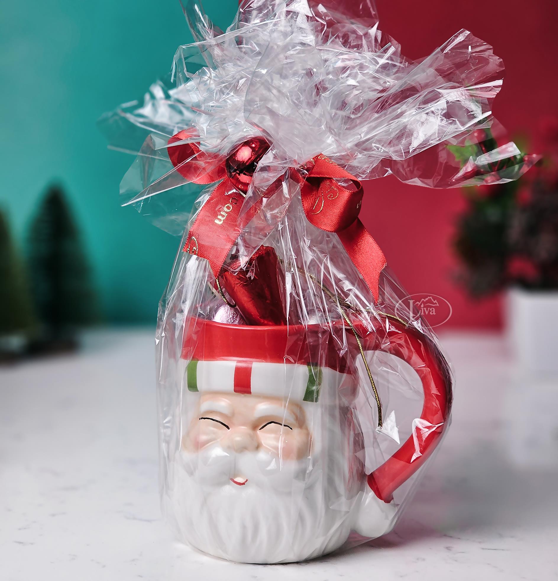 Liva Noel Baba Sürpriz Kupası