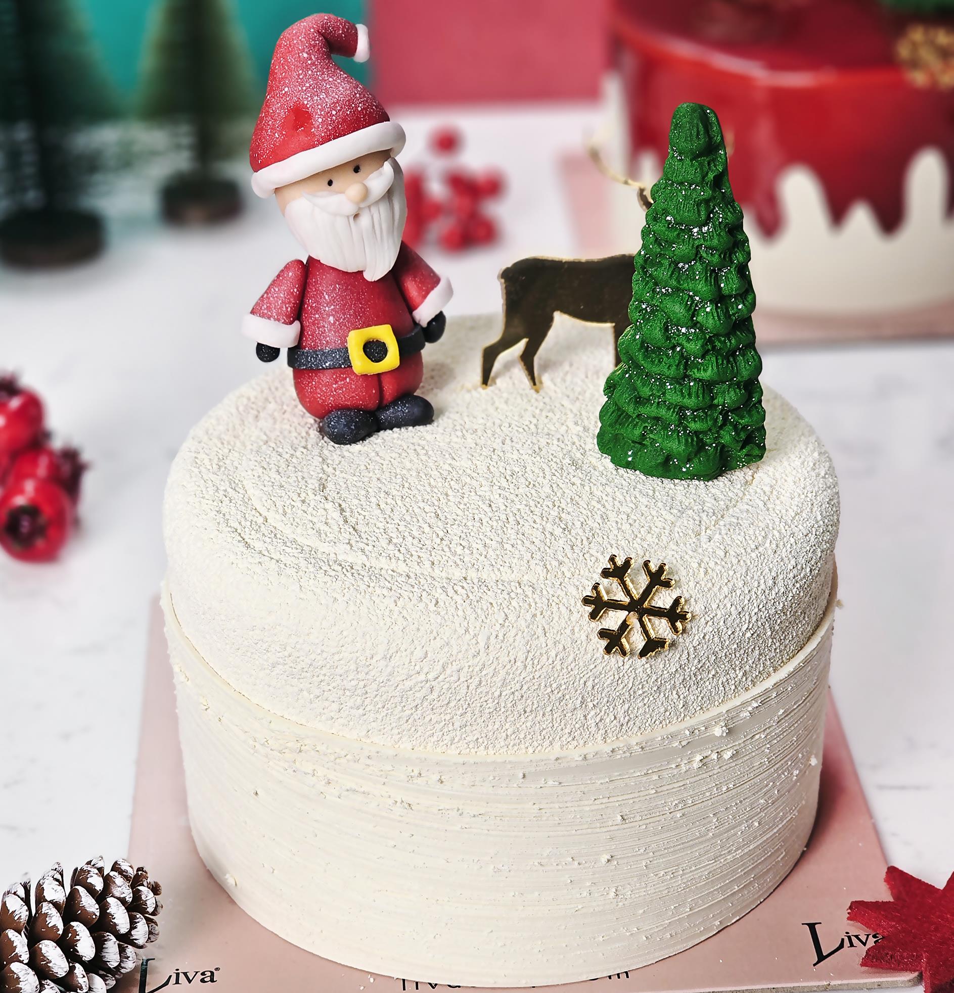 Liva Yılbaşı Noel Baba Ormanda Özel Pasta