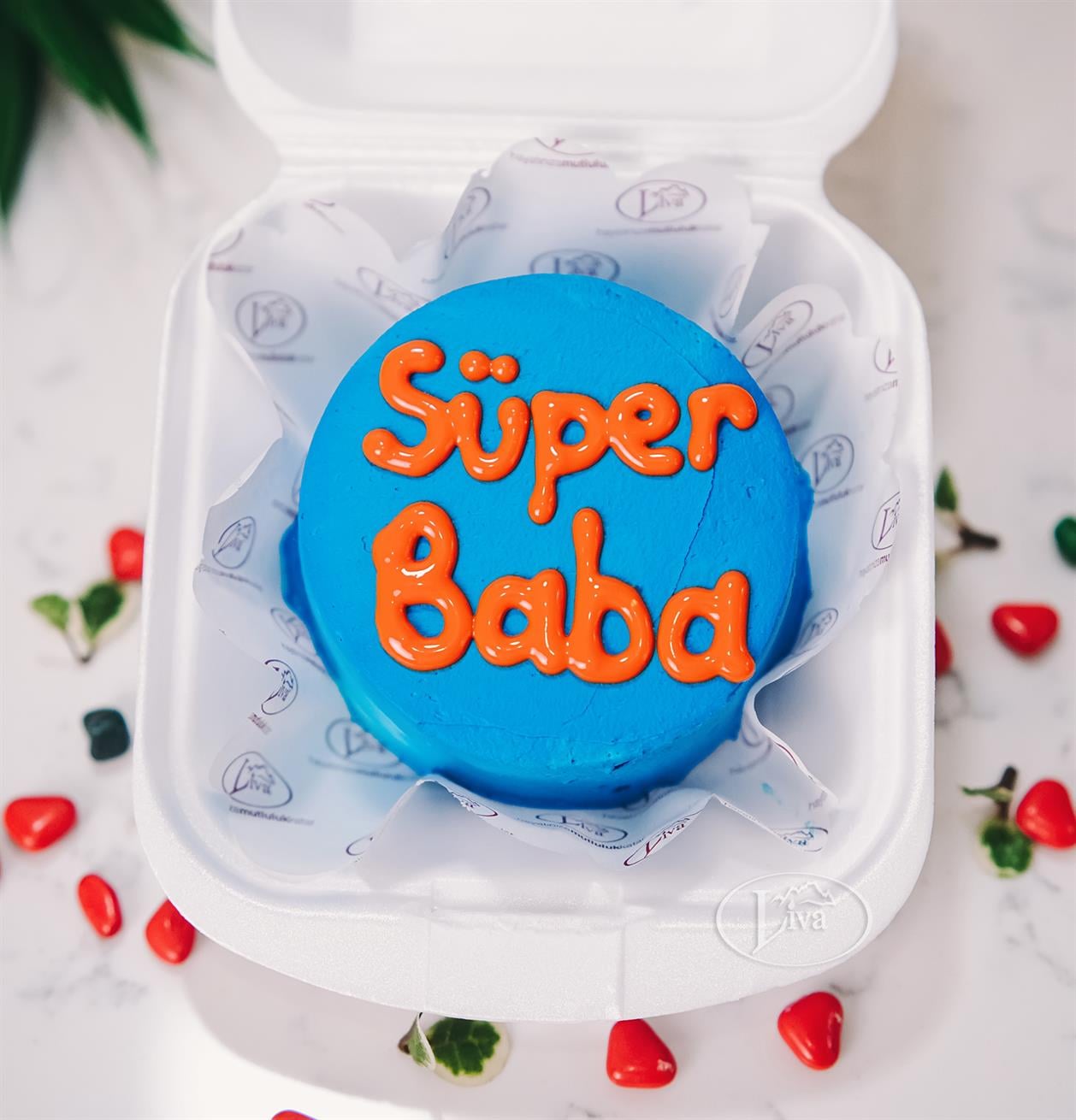 Süper Baba Bento Yazılı Adet Pasta