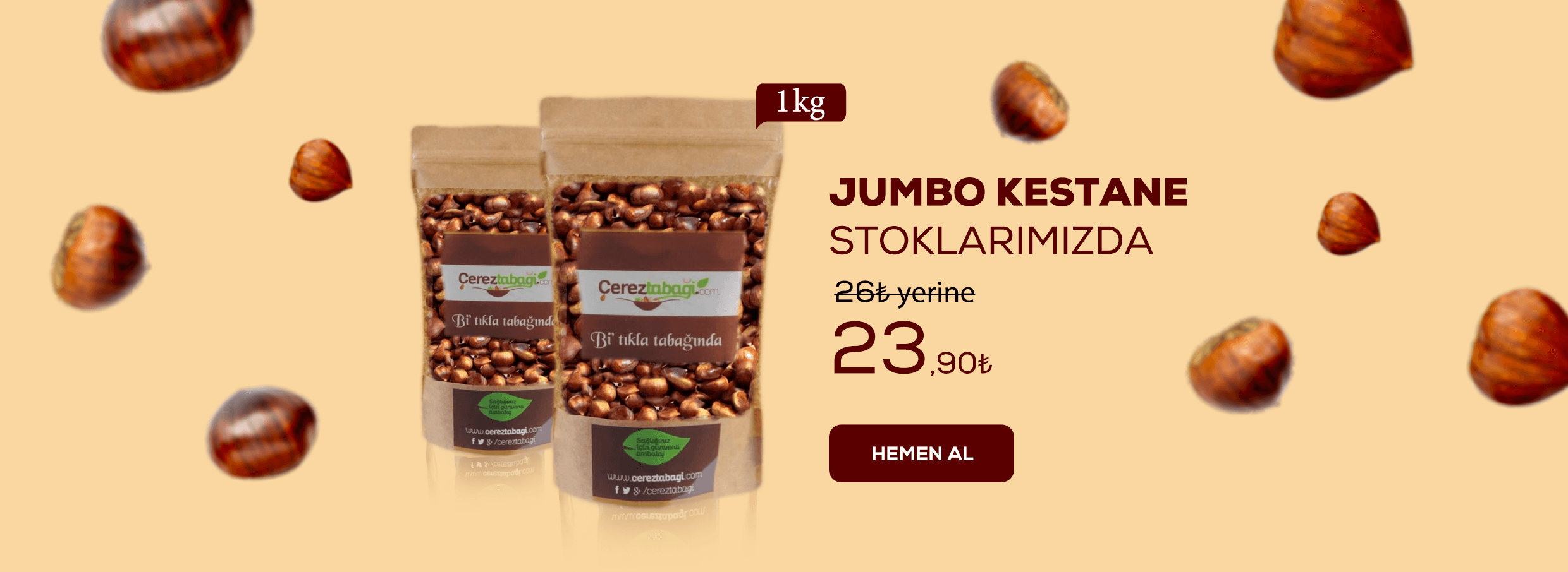 Kestane Jumbo