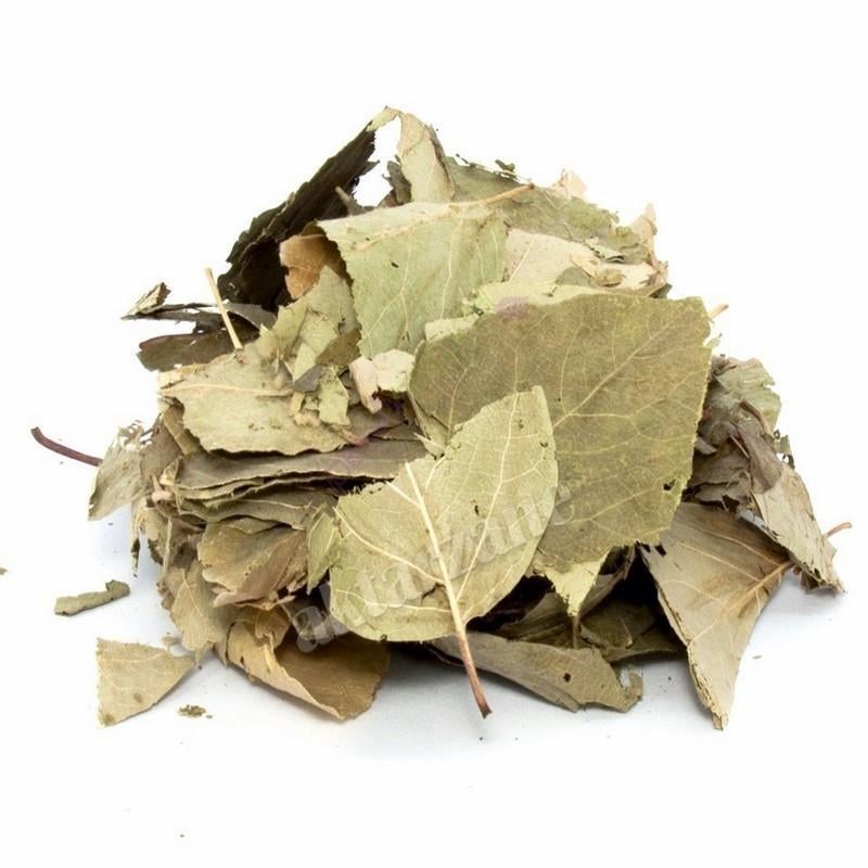 Ayva Yaprağı 22 Gr
