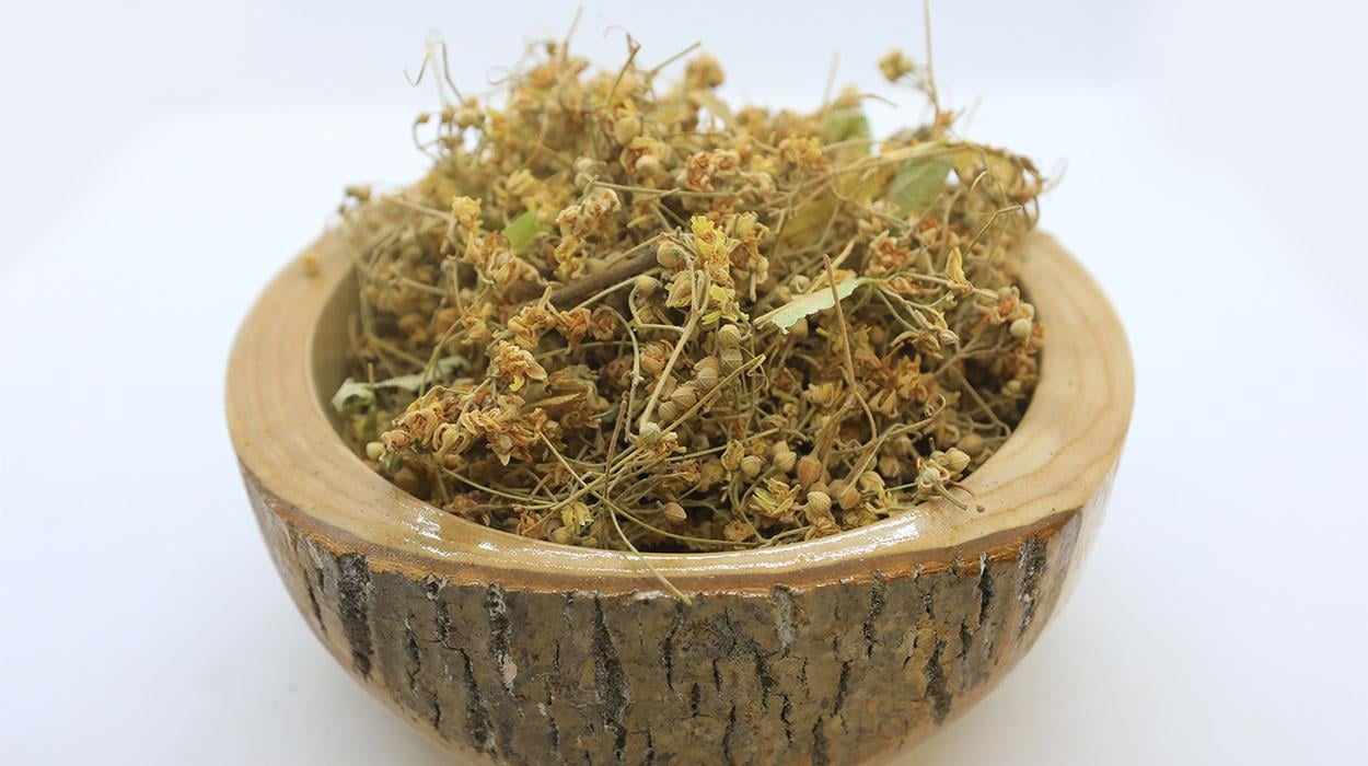 Civan Perçemi 26 Gr