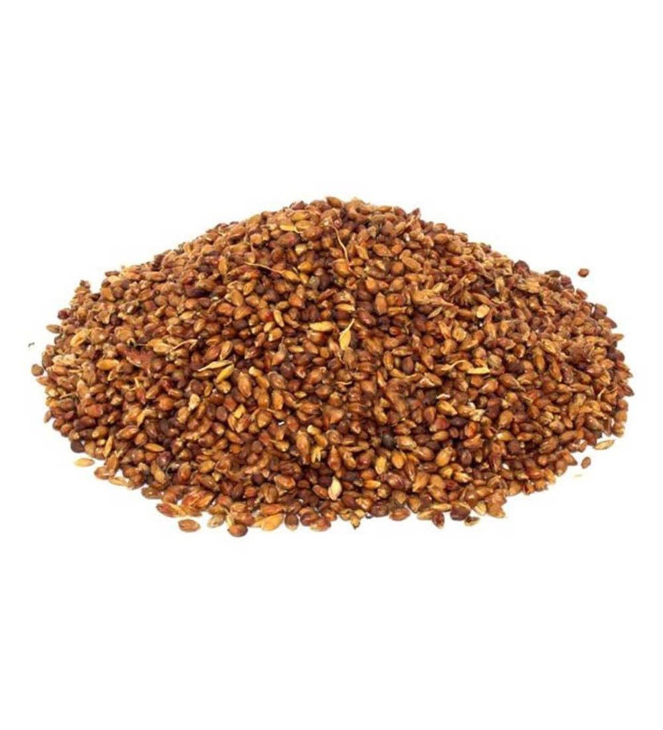 Süpürge Tohumu 100 Gr
