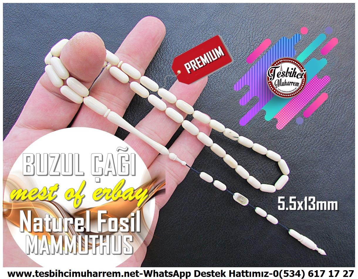 Mamut Dişi TesbihlerTM13372Mustafa Erbay 