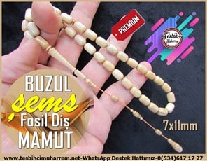 Fildişi TesbihlerTM12021/AFosil Mamut Dişi Tesbih Kapsül Kesim Profesyonel Çalışma BuzulFosil Mamut Dişi Tesbih Kapsül Kesim Profesyonel Çalışma Buzul