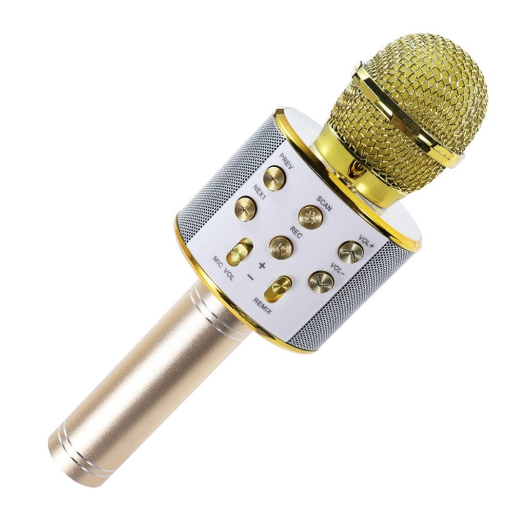 Kareoke Mikrofon, Asonic AS-M09 Karaoke Mikrofon, Hoparlör