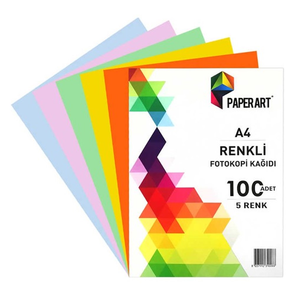Paperart Renkli Fotokopi Kağıdı A4 5 Renk 100'lü