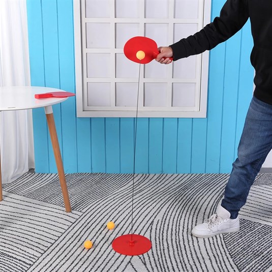 Masasız Masa Tenisi, Taşınabilir Ping Pong Eğitim Aracı
