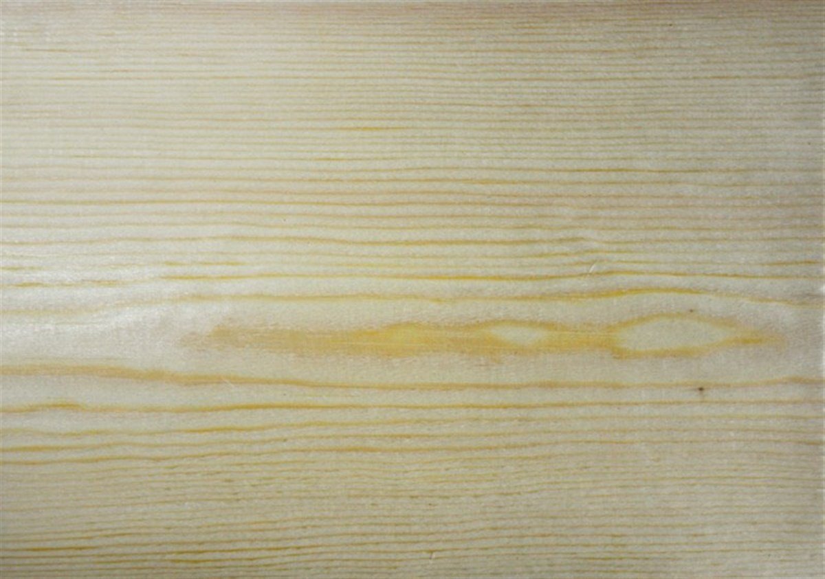 Ahşap KaplamalarWoodlent Kaplama Doğal Yaprak Çam (metrekare fiyatıdır)