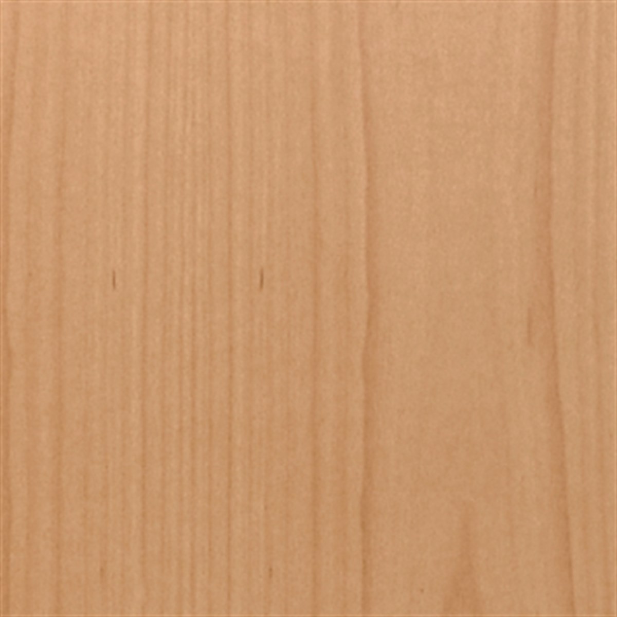 Ahşap KaplamalarWoodlent Kaplama Doğal Yaprak Beyaz Kayın (metrekare fiyatıdır)