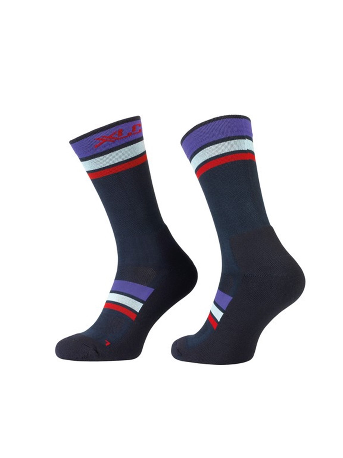 ÇorapXLC Çorap Mavi/Mor 46-48