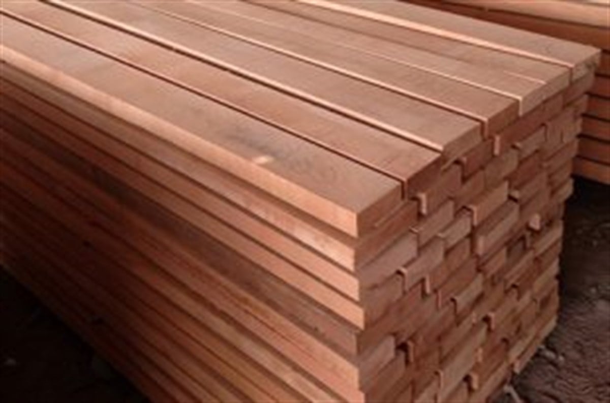 KeresteKereste Kayın (Gürgen)