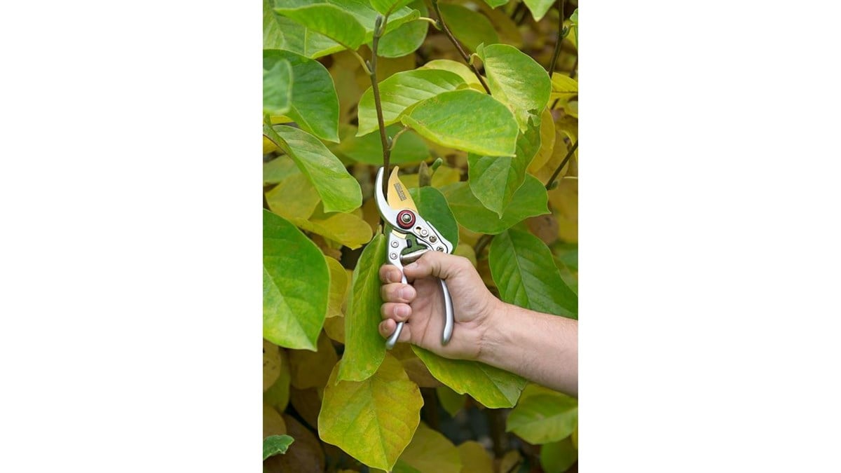 Budama MakasıKreator Makas Budama Bypass 23MM