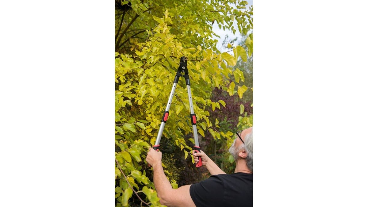 Budama MakasıKreator Makas Dal Budama Teleskobik 830MM