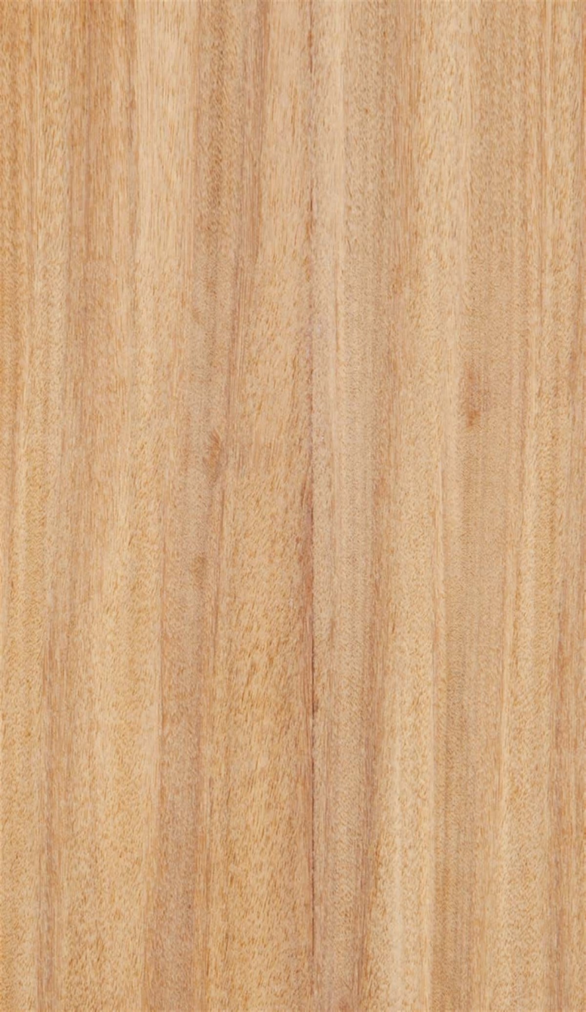 MDF LevhalarWoodlent Mdf Doğal Kaplama 210x280CM Afromozi /Astar Kayın