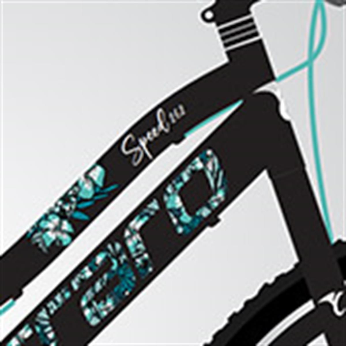 Şehir BisikletiCarraro 26