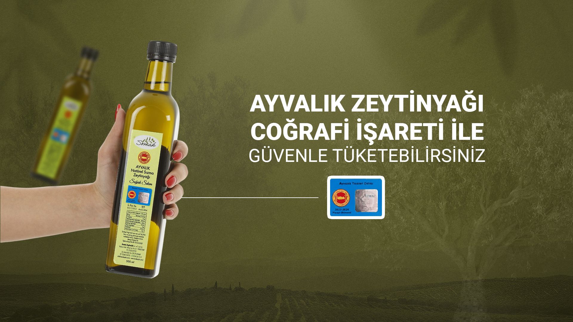 Ayvalık Coğrafi İşaretli Zeytinyağı Nedir?