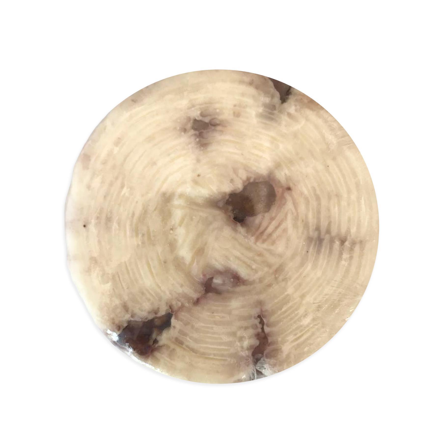 Saganaki Peyniri Cevizli 500 g e