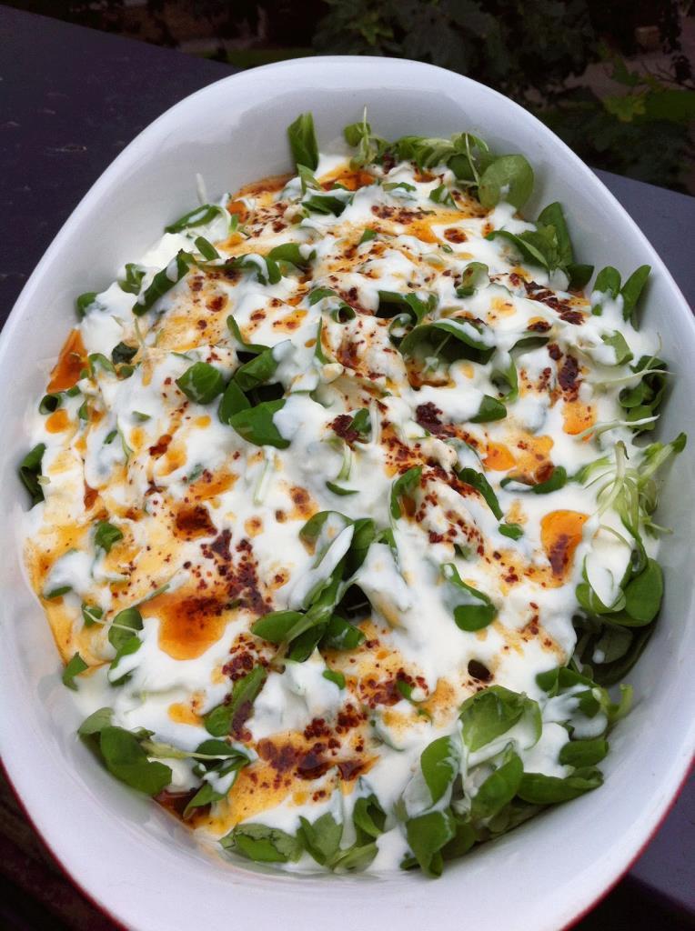 Yoğurtlu Semizotu Salatası El Yapımı Meze