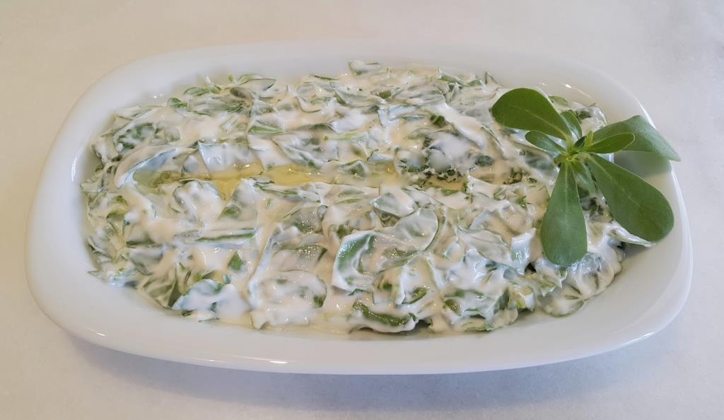 Yoğurtlu Semizotu Salatası El Yapımı Meze
