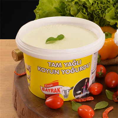 Bayrak Karapınar Koyun Yoğurdu Kova 2000 g e