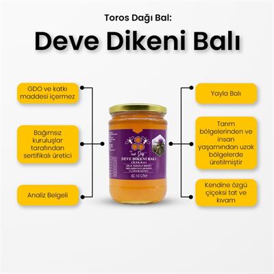Toros Dağı Deve Dikeni Çiçek Balı 860 g e