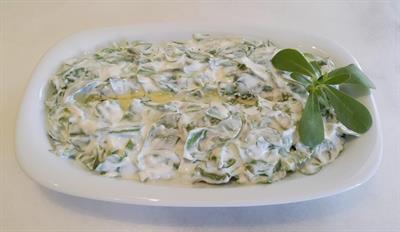 Yoğurtlu Semizotu Salatası El Yapımı Meze