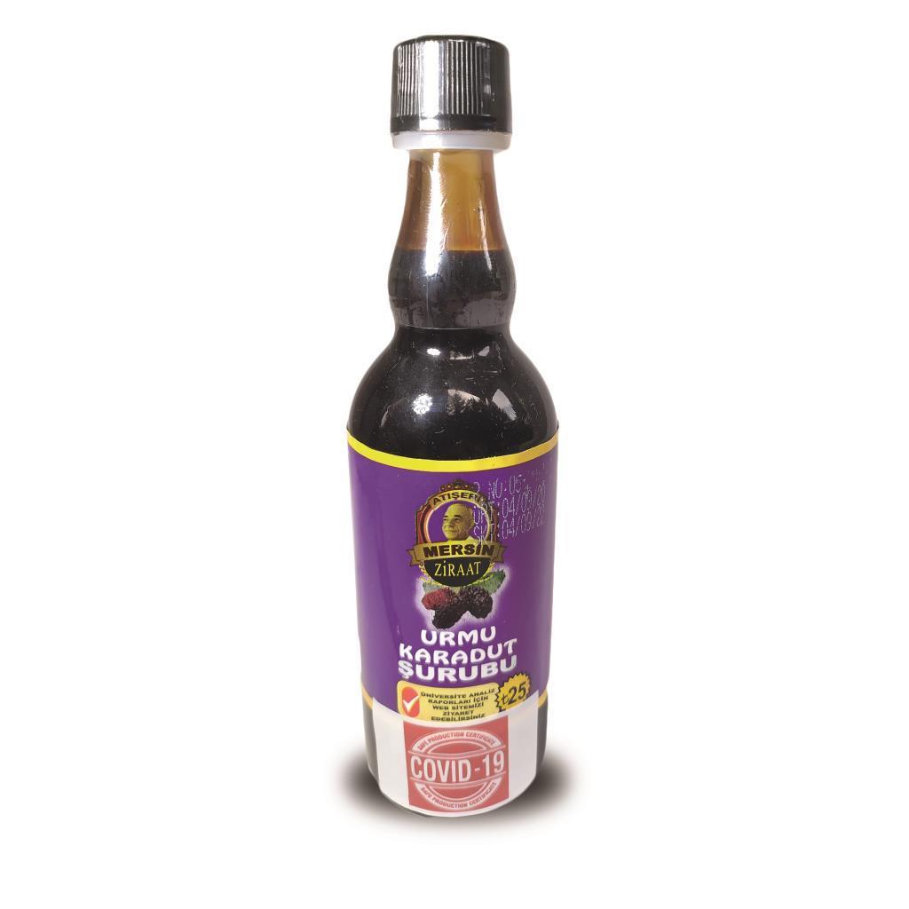 Gurmepark Atışeri Organik Urmu Karadut Şurubu 100 mL