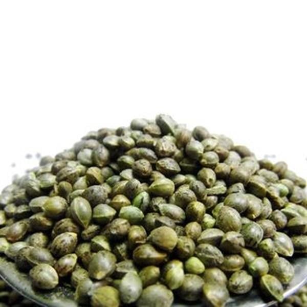 Kenevir Tohumu Kavrulmamış 500 g ℮