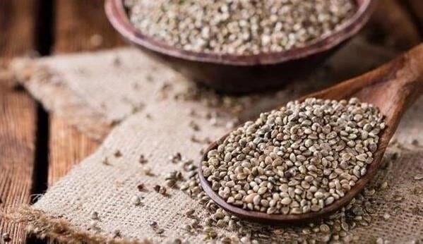 Kenevir Tohumu Kavrulmuş 500 g e