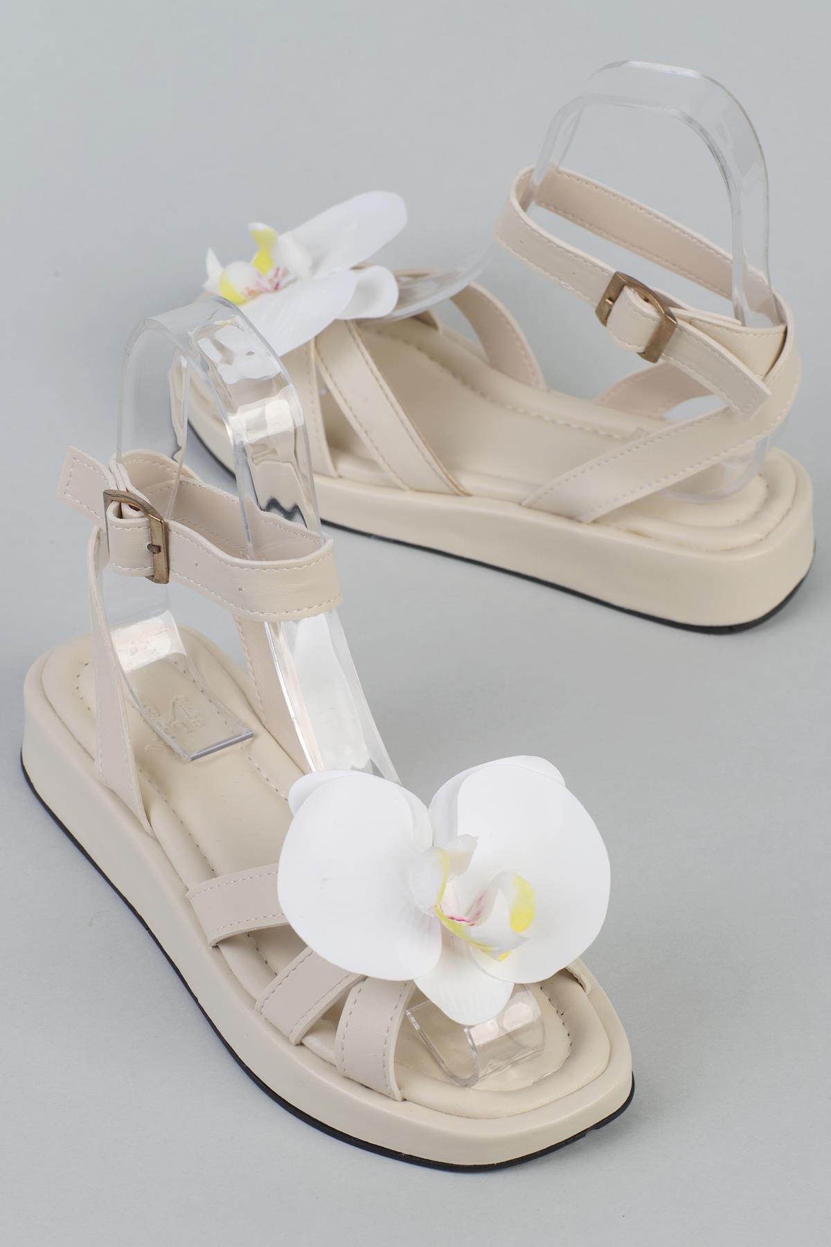 ShoetekEllisa